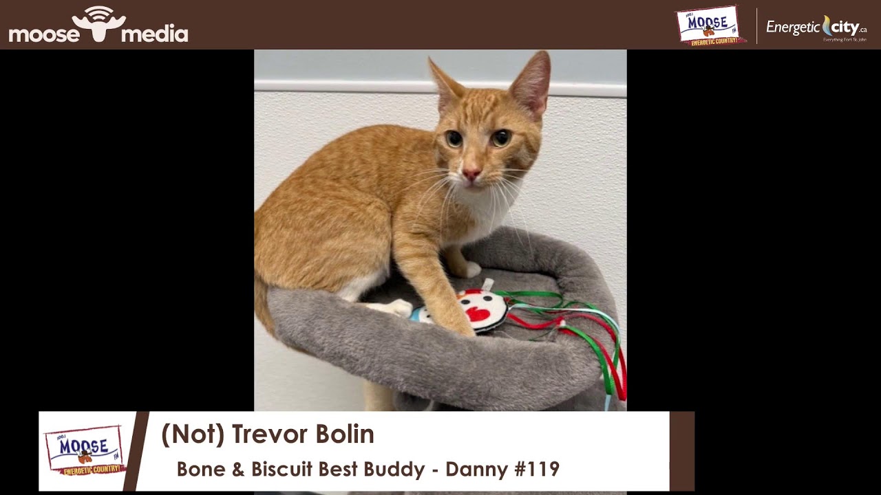 Bone and Biscuit Best Buddy – Aug 27 – Danny #119